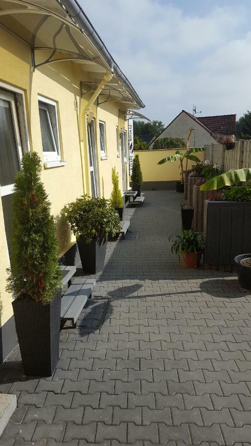 Pension Dreger Freimersheim  Zewnętrze zdjęcie